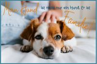 ProCanis Hundetraining - Hundeschule in Friedrichsthal HUND IST FAMILIE