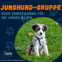 ProCanis Hundetraining - Hundeschule in Friedrichsthal JUNGHUNDGRUPPE