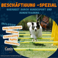 ProCanis Hundetraining Beschäftigung Spezial