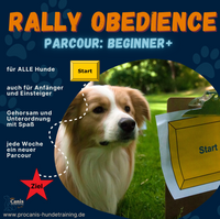 ProCanis Hundetraining - Hundeschule in Friedrichsthal RALLY OBEDIENCE PARCOUR