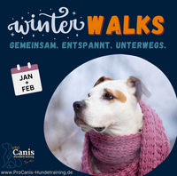 ProCanis Hundetraining- Hundeschule in Friedrichsthal WINTERWALKS