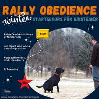 ProCanis Hundetraining - Hundeschule in Friedrichsthal RALLY OBEDIENCE STARTER