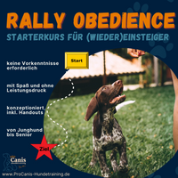 ProCanis Hundetraining - Hundeschule in Friedrichsthal Rally Obedience STARTERKURS